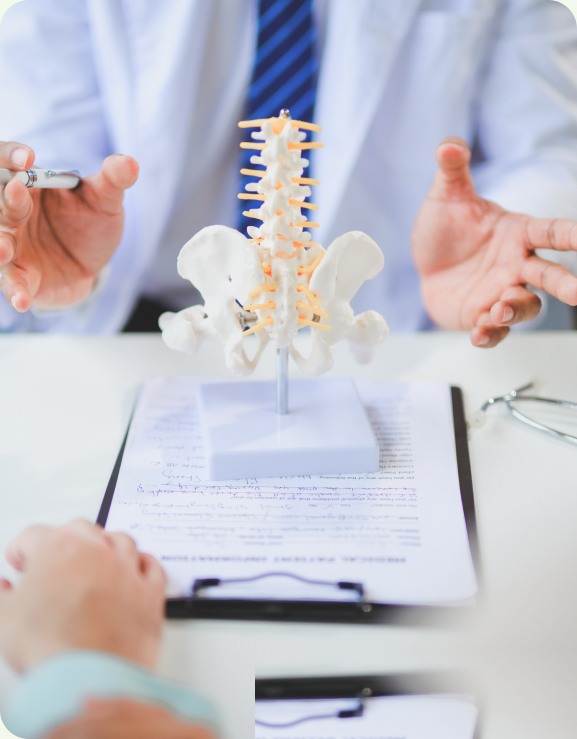 Chiropractor explaining a spine model during a patient consultation